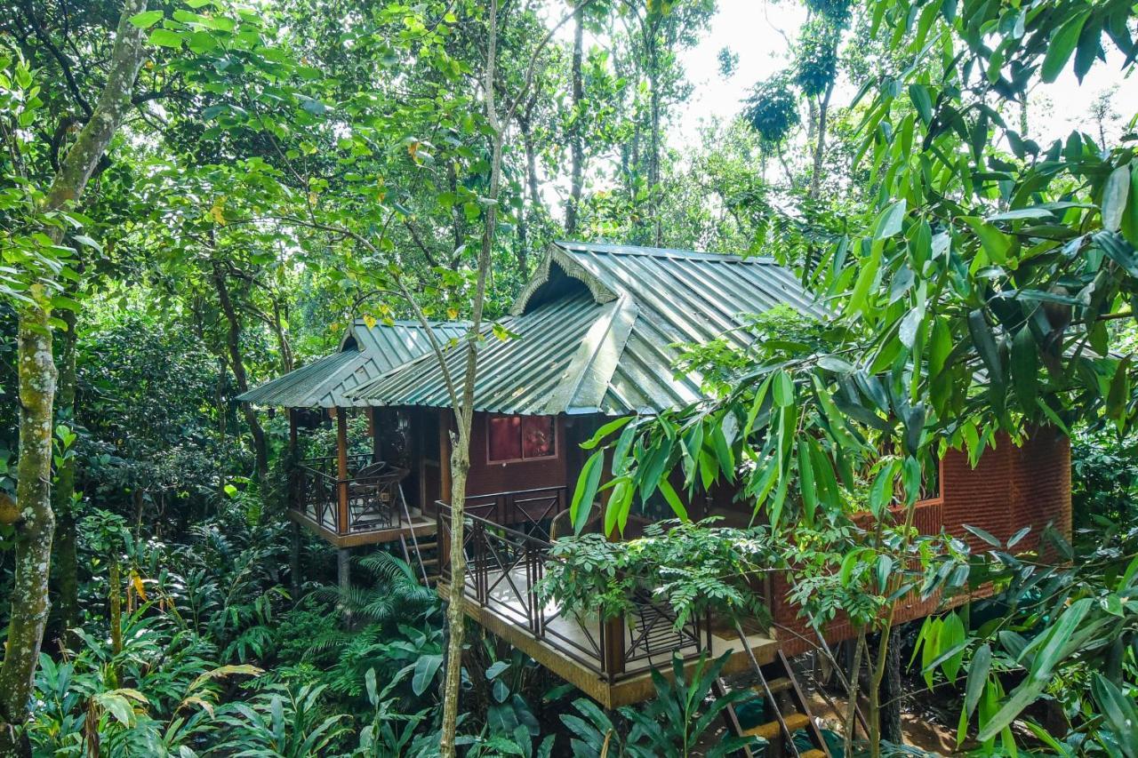 มันซูน รีทรีทส์ Bed & Breakfast เทกคาดี ภายนอก รูปภาพ