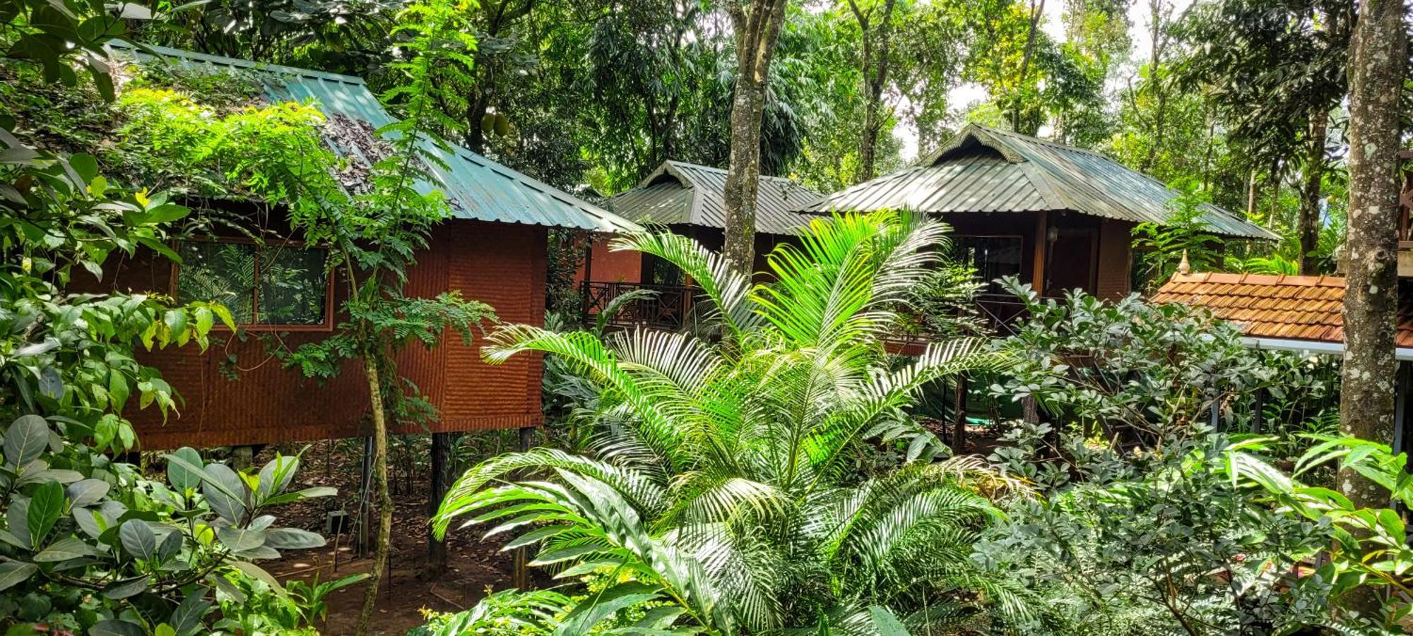 มันซูน รีทรีทส์ Bed & Breakfast เทกคาดี ภายนอก รูปภาพ