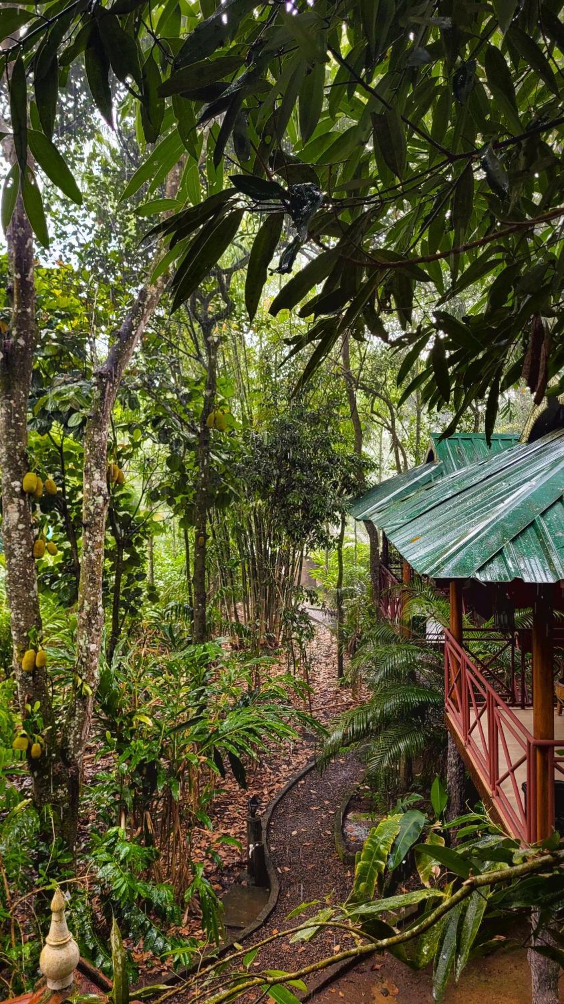 มันซูน รีทรีทส์ Bed & Breakfast เทกคาดี ภายนอก รูปภาพ