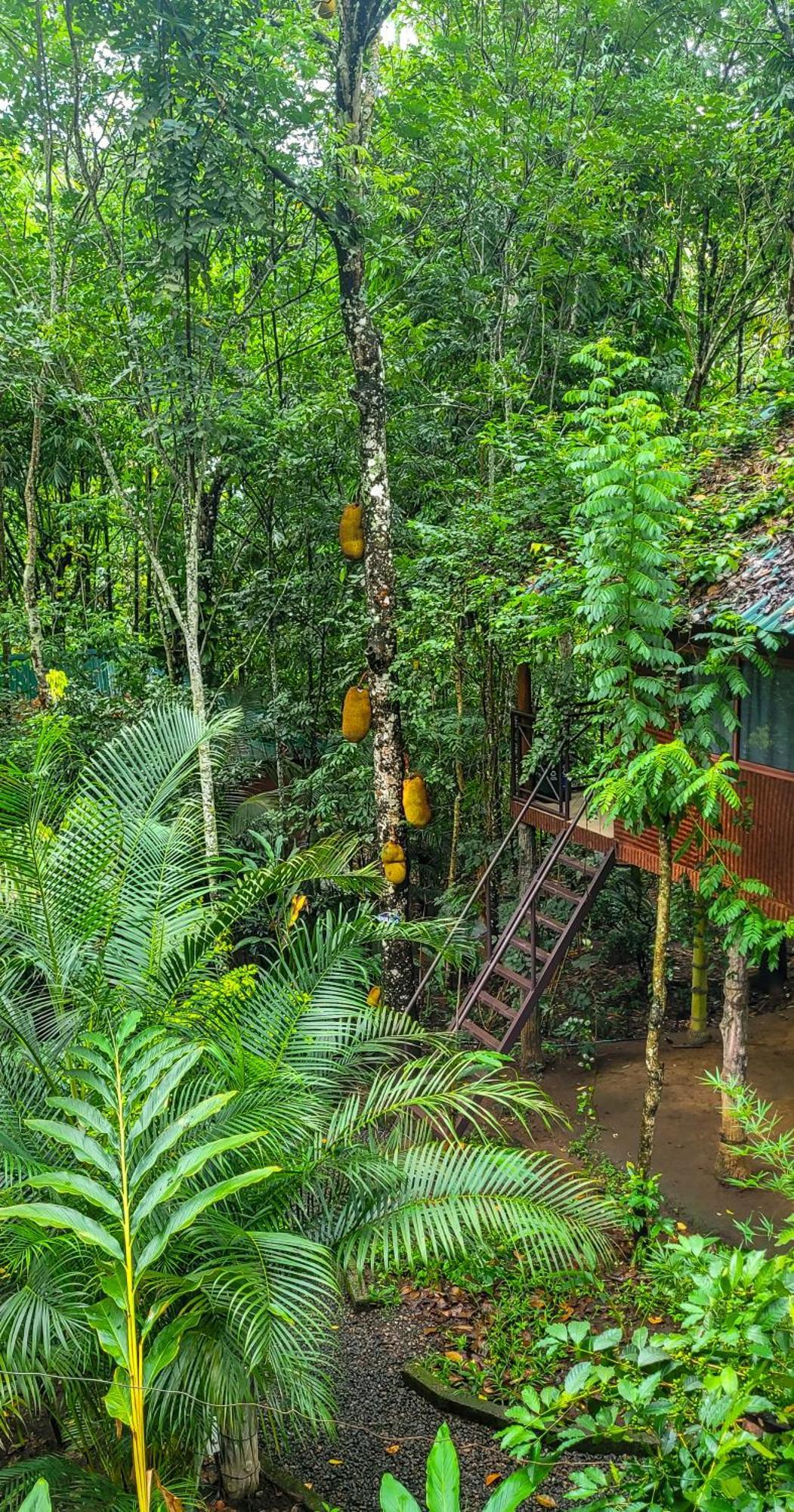 มันซูน รีทรีทส์ Bed & Breakfast เทกคาดี ภายนอก รูปภาพ