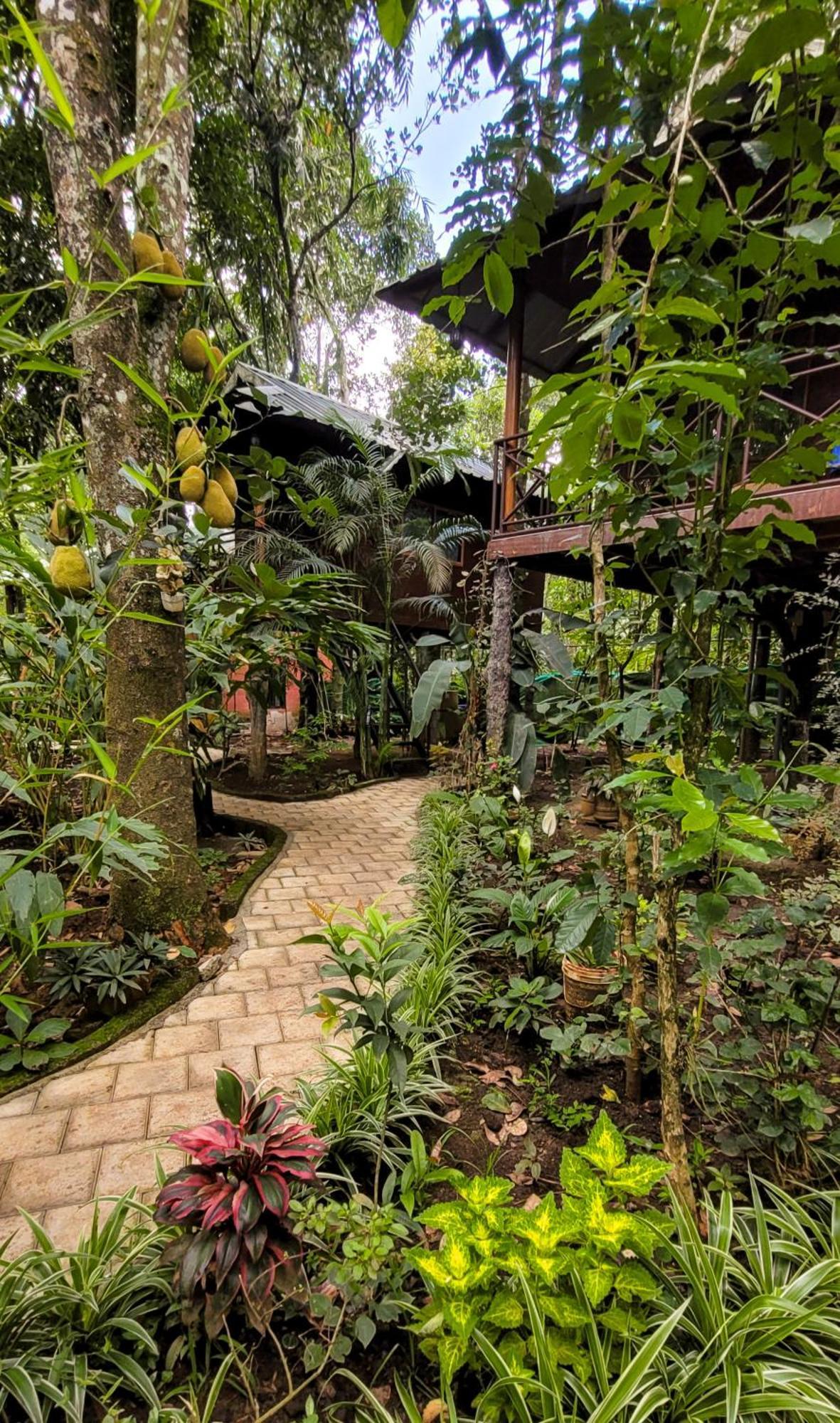 มันซูน รีทรีทส์ Bed & Breakfast เทกคาดี ภายนอก รูปภาพ