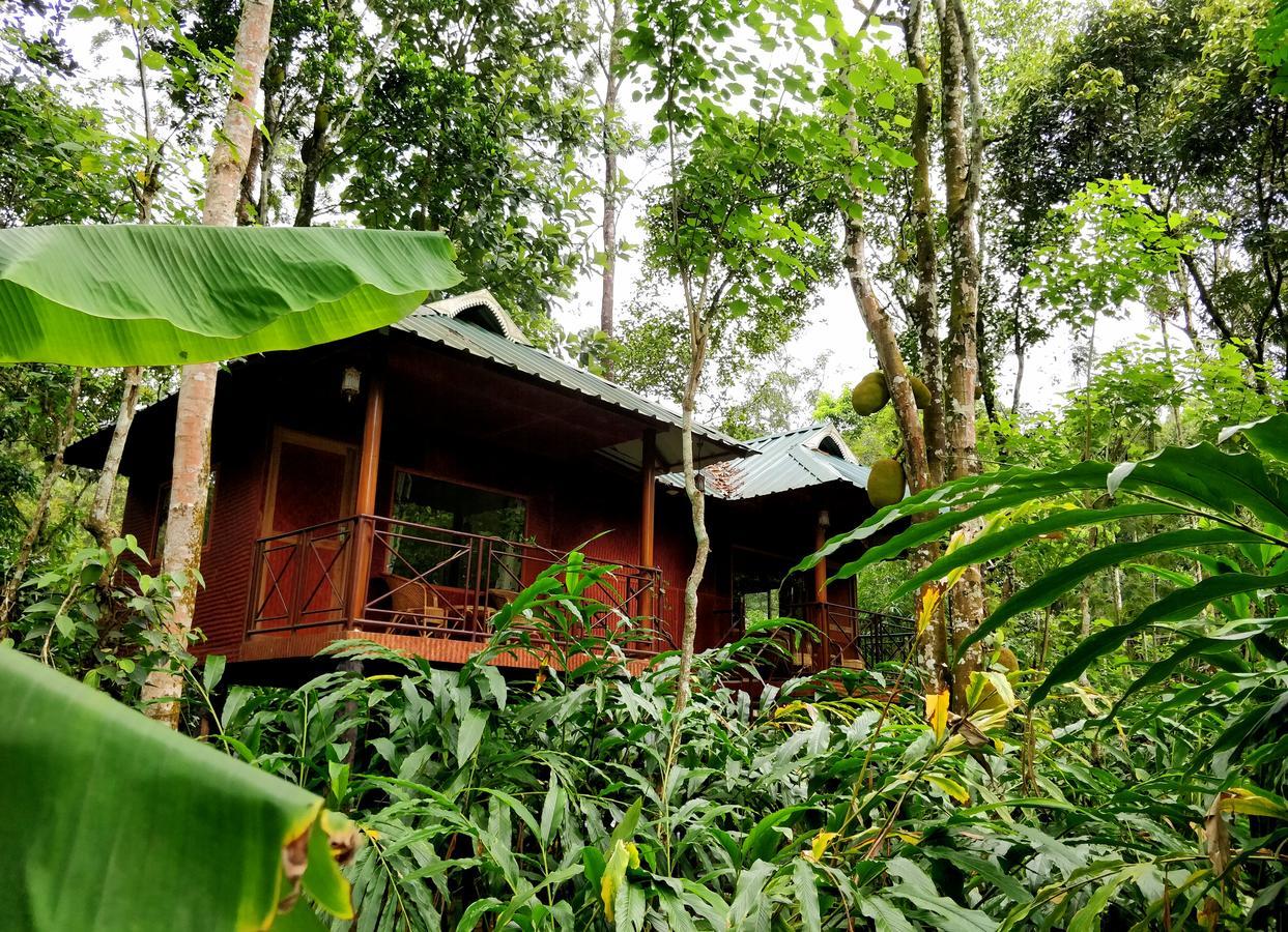 มันซูน รีทรีทส์ Bed & Breakfast เทกคาดี ภายนอก รูปภาพ