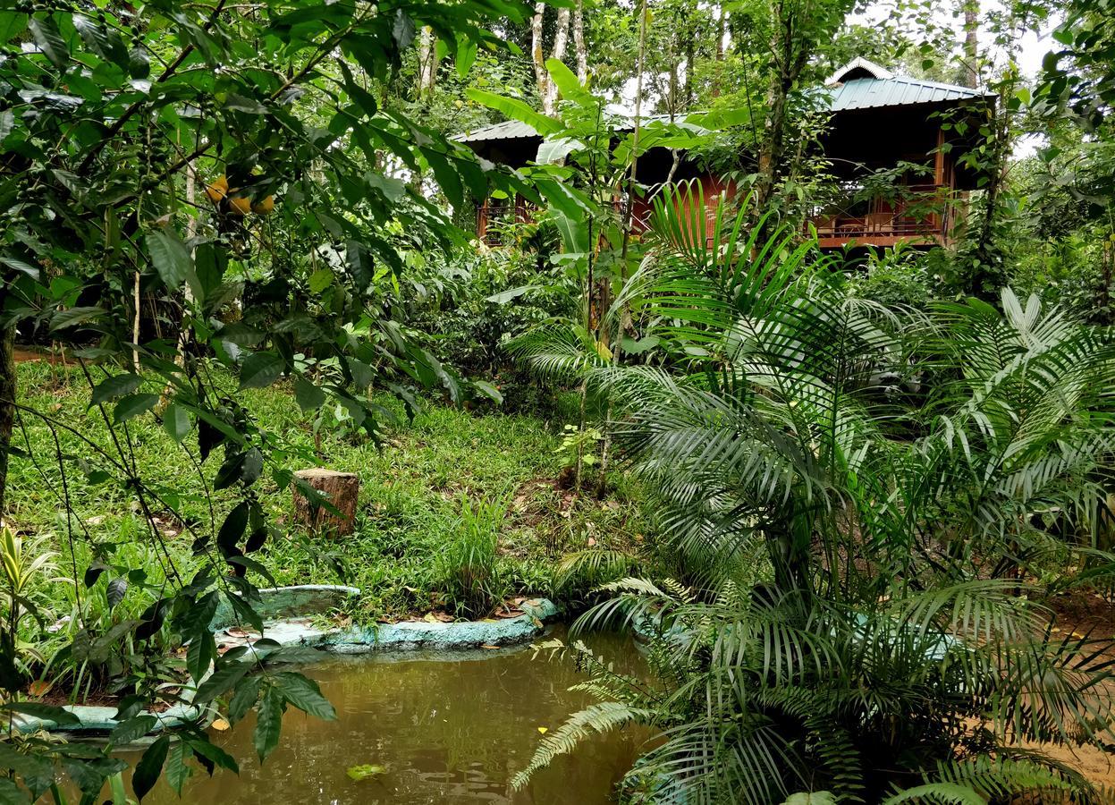 มันซูน รีทรีทส์ Bed & Breakfast เทกคาดี ภายนอก รูปภาพ