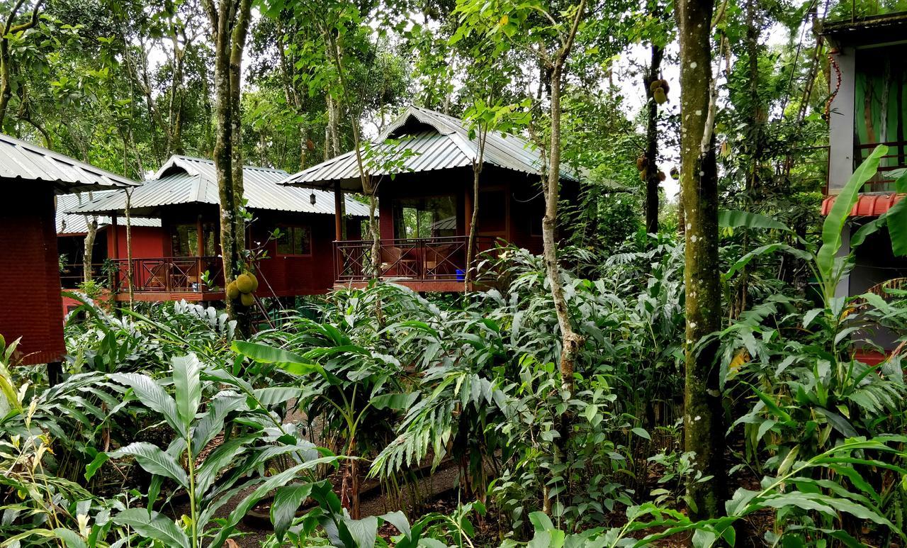 มันซูน รีทรีทส์ Bed & Breakfast เทกคาดี ภายนอก รูปภาพ