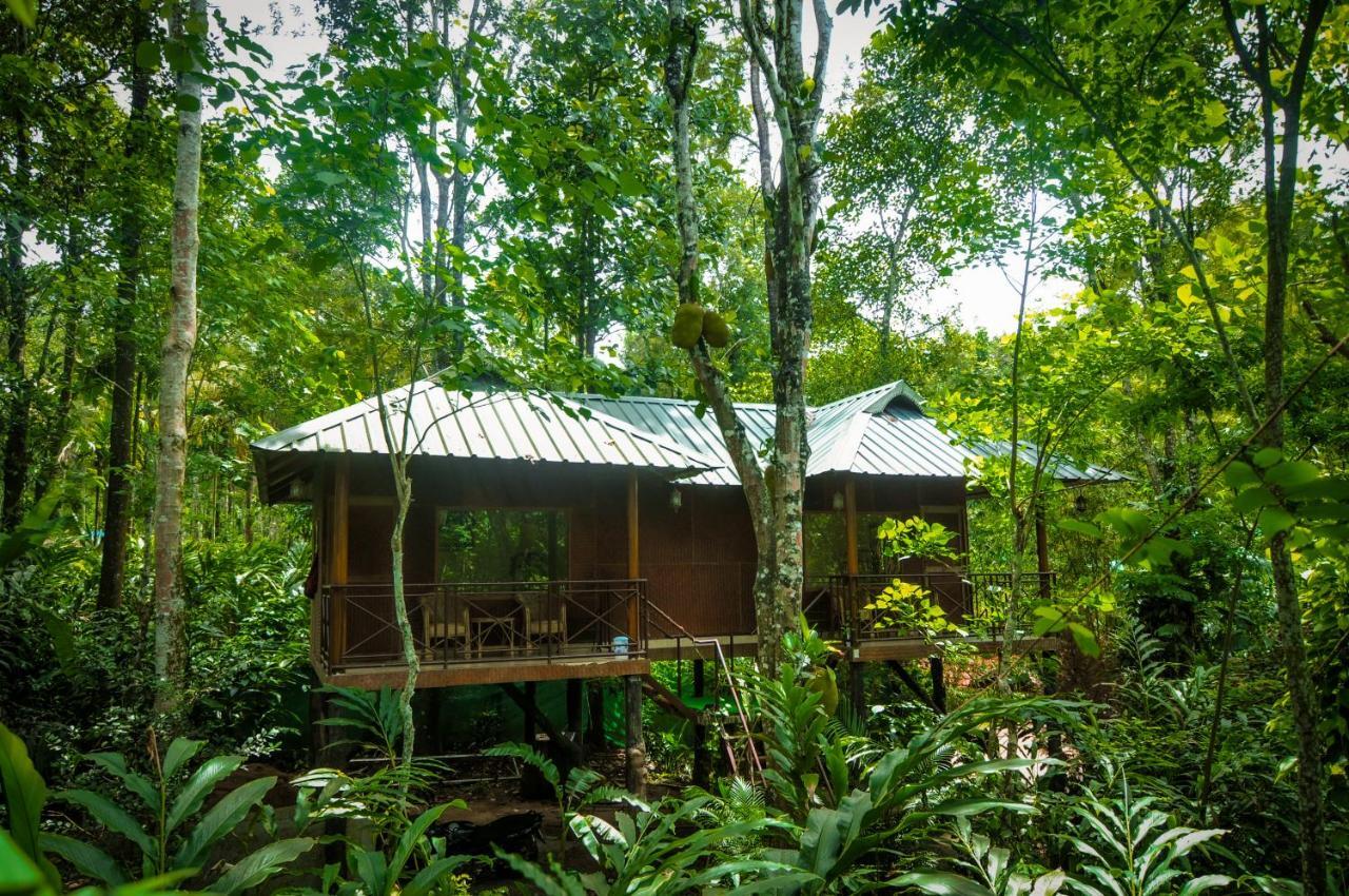 มันซูน รีทรีทส์ Bed & Breakfast เทกคาดี ภายนอก รูปภาพ