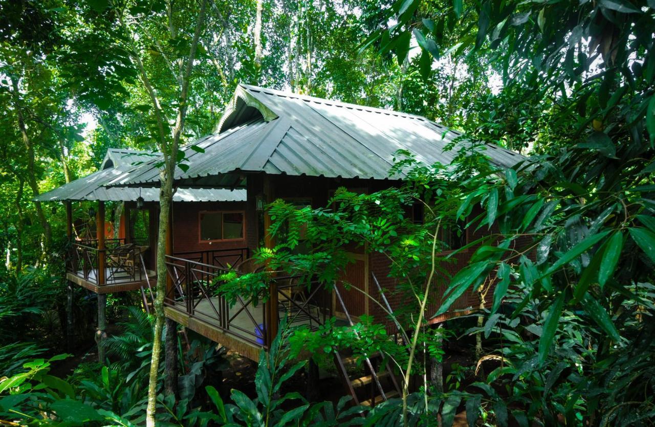 มันซูน รีทรีทส์ Bed & Breakfast เทกคาดี ภายนอก รูปภาพ